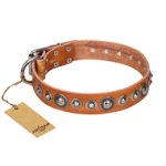 "Daily Chic" FDT Artisan Tan Leather Amstaff Collar with Decorations