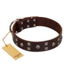 "Brown Shadow" Designer Handmade FDT Artisan Brown Leather Amstaff Collar