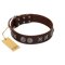 "Silver Sunset" Designer Handmade FDT Artisan Brown Leather Amstaff Collar
