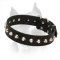 Elegant Studded Leather Collar for American Staffordshire Terrier