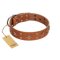 "Dreamy Gleam" FDT Artisan Tan Leather Amstaff Collar Adorned with Stars and Squares