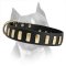 Fantastic Wide Leather Dog Collar With Plates