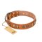 "Natural Beauty" FDT Artisan Tan Leather Amstaff Collar with Old Bronze-like Circles and Plates