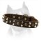 Elegant Dog Collar With Pyramids And Studs For American Staffordshire Terrier