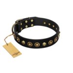 "Reckless Mutt" FDT Artisan Black Leather Amstaff Collar with Skulls and Brooches
