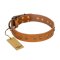 "Autumn Story" FDT Artisan Leather Amstaff Collar with Old Bronze Look Studs