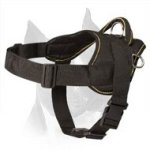 Light-Weight Easy Walking Nylon Amstaff Dog Harness