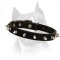 Modern Spiked Leather Dog Collar For Walking In Style With Your Amstaff Dog Breed
