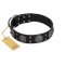 "Boundless Blue" FDT Artisan Black Leather Amstaff Collar with Chrome Plated Brooches and Square Studs
