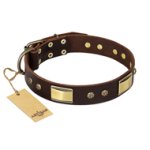 "Rich Fashion" FDT Artisan Decorated Leather Amstaff Collar with Plates and Studs