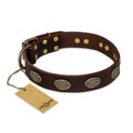 "Chocolate kiss" FDT Artisan Leather Amstaff Collar with Old Bronze Look Oval Plates
