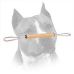 Usable Jute Roll Tug for Amstaff Puppy Training