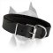 Padded Amstaff Leather Dog Collar For Walking And Training