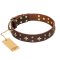 "High Fashion" FDT Artisan Embellished Brown Leather Amstaff Collar