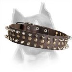 Spiked and Studded Passion Leather Dog Collar for Amstaff