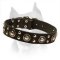 'Rock n Roll' Leather Amstaff Collar with Antique Design