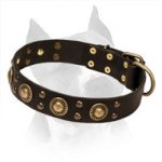 'Space-like' Leather Amstaff Collar with Brass Hardware