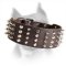 2 inch Leather Spiked and Studded Amstaff Dog Collar