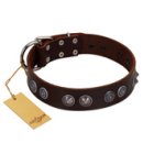 "King Arthur" FDT Artisan Brown Leather Amstaff Collar with Spiky Plates
