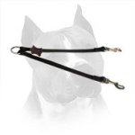 Nylon Coupler Leash for American Staffordshire Terriers
