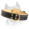 Royal Nappa Padded Hand Made Leather Dog Collar For Amstaff Breed