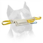 Fire Hose Bite Tugs Of Amstaff Training Set