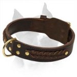 Wonderful Wide 2 Ply Leather Dog Collar For Amstaff Dog Breed