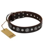 "Victory Ode" FDT Artisan Brown Leather Amstaff Collar with Silver-like Plated Decorations