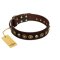 "Street Fashion" FDT Artisan Brown Leather Amstaff Collar Adorned with Circles and Skulls