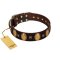 "Crystal Mirror" FDT Artisan Handmade Brown Leather Amstaff Collar - 1 1/2 inch (40 mm) Wide