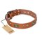 "Stunning Dress" FDT Artisan Tan Leather Amstaff Collar with Old Bronze Look Plates and Studs
