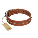 "Broadway" Handmade FDT Artisan Tan Leather Amstaff Collar with Dotted Pyramids