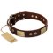 "Shining Armour" FDT Artisan Brown Leather Amstaff Collar with Decorations