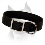 Durable All Weather Nylon Dog Collar For Amstaff