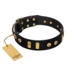 "Rare Dog" FDT Artisan Black Leather Amstaff Collar with Old Bronze-like Dotted Studs and Tiles
