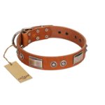 "Pawsy Glossy" FDT Artisan Exclusive Tan Leather Amstaff Collar 1 1/2 inch (40 mm) wide