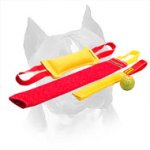 Amstaff Puppy Training Set With Great Training Toy For Free