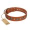 "Natural Beauty" FDT Artisan Tan Leather Amstaff Collar with Shining Silver-like Studs