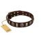 "Skull's Adventure" FDT Artisan Brown Leather Amstaff Collar with Plates and Ovals