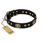 "High Fashion" FDT Artisan Studded with Plates Black Leather Amstaff Collar