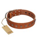 "Guard of Honour " Designer FDT Artisan Tan Leather Amstaff Collar with Small Dotted Pyramids