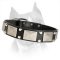 Exceptional Decorated Leather Dog Collar For Amstaff Dog Breed