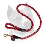 Cord Nylon Leash For Amstaff Dog Breed