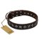 "Stars of Glory" FDT Artisan Brown Leather Amstaff Collar for Comfortable Walking