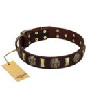 "Skull's Adventure" FDT Artisan Brown Leather Amstaff Collar with Plates and Ovals