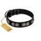 "Magic Amulete" Handcrafted FDT Artisan Black Leather Amstaff Collar with Chrome-Plated Shields