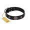 "Ad Infinitum" Durable FDT Artisan Black Leather Amstaff Collar with Chrome Plated Brooches