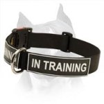 Amstaff Nylon Dog Collar With Identification Patches