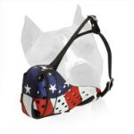 Real American Hand Painted Leather Dog Muzzle for Amstaff