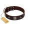 "Cold Star" Designer FDT Artisan Brown Leather Amstaff Collar with Silver-Like Adornments
